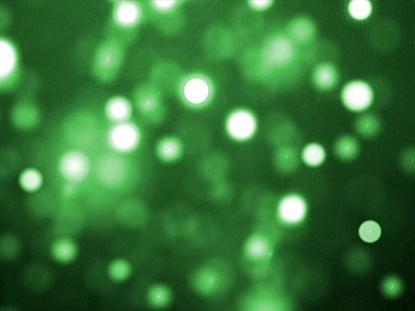 Green Gleam Left