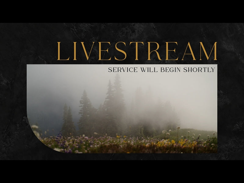 Mountainside Livestream