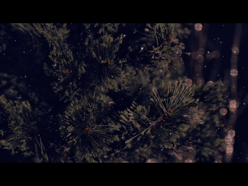 Christmas Tree 2