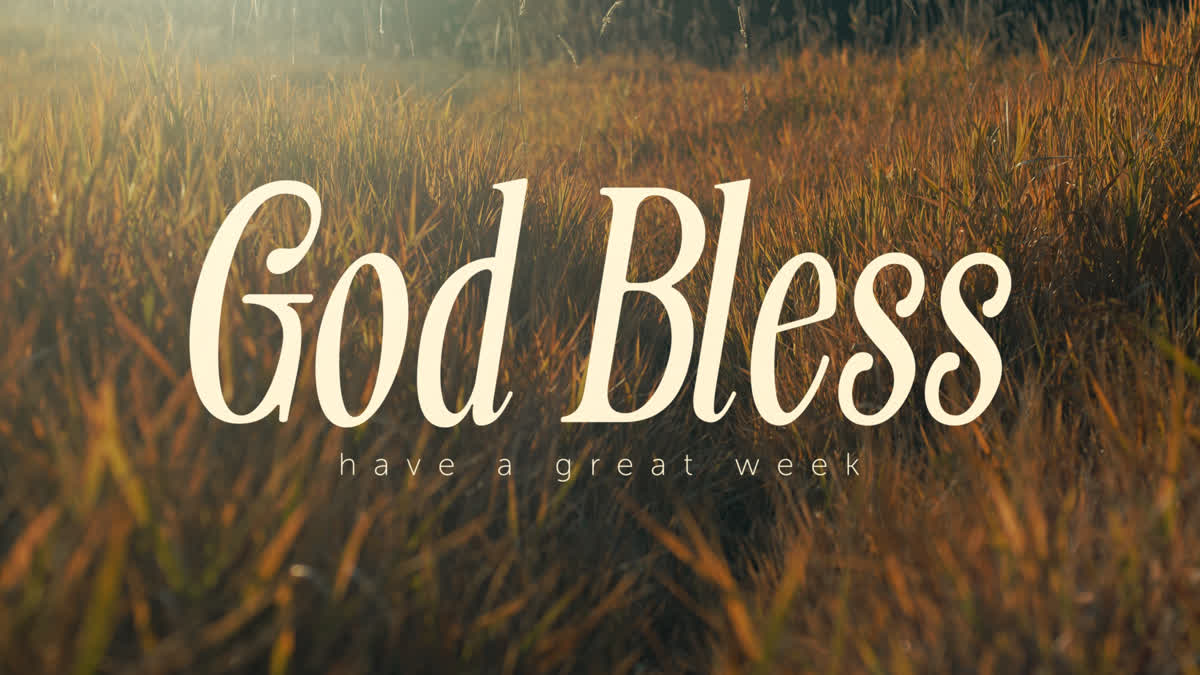 The Grass Still God Bless