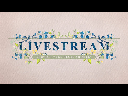Petite Flower: Livestream