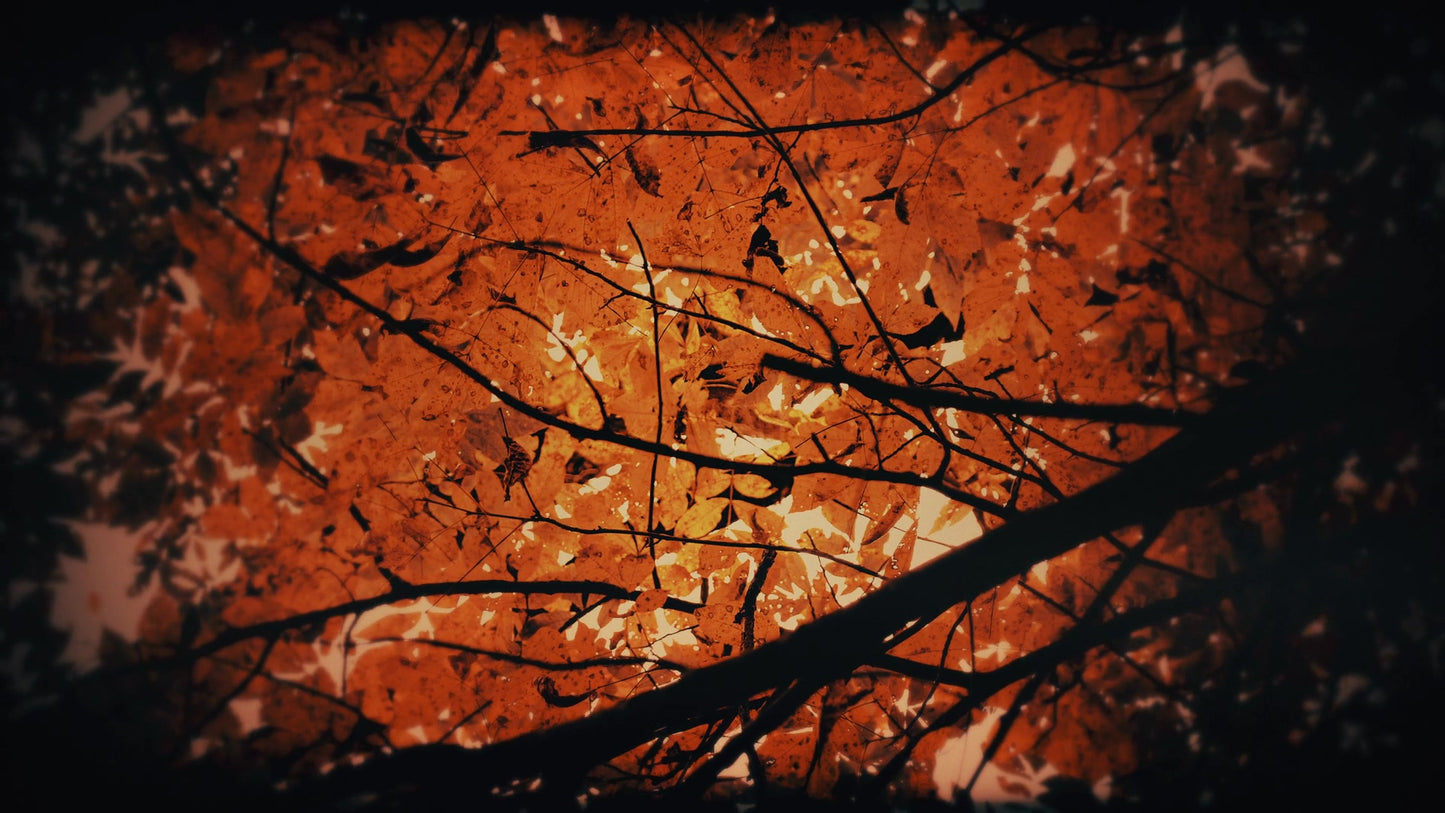 Autumn Fire Smelter Still