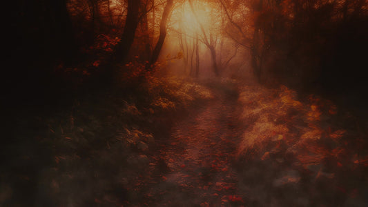 Autumn Path 6 Darken Still