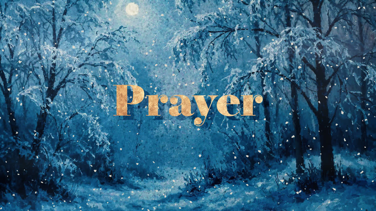 Snow Day Welcome Stream