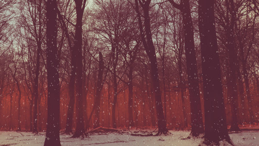 Christmas Ribbon Red Snow