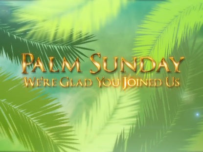 Palm Sunday Branches Welcome