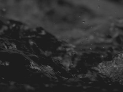 Black And White Torrent