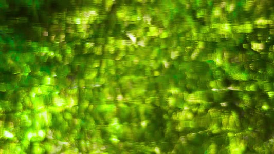 Living Waters 02