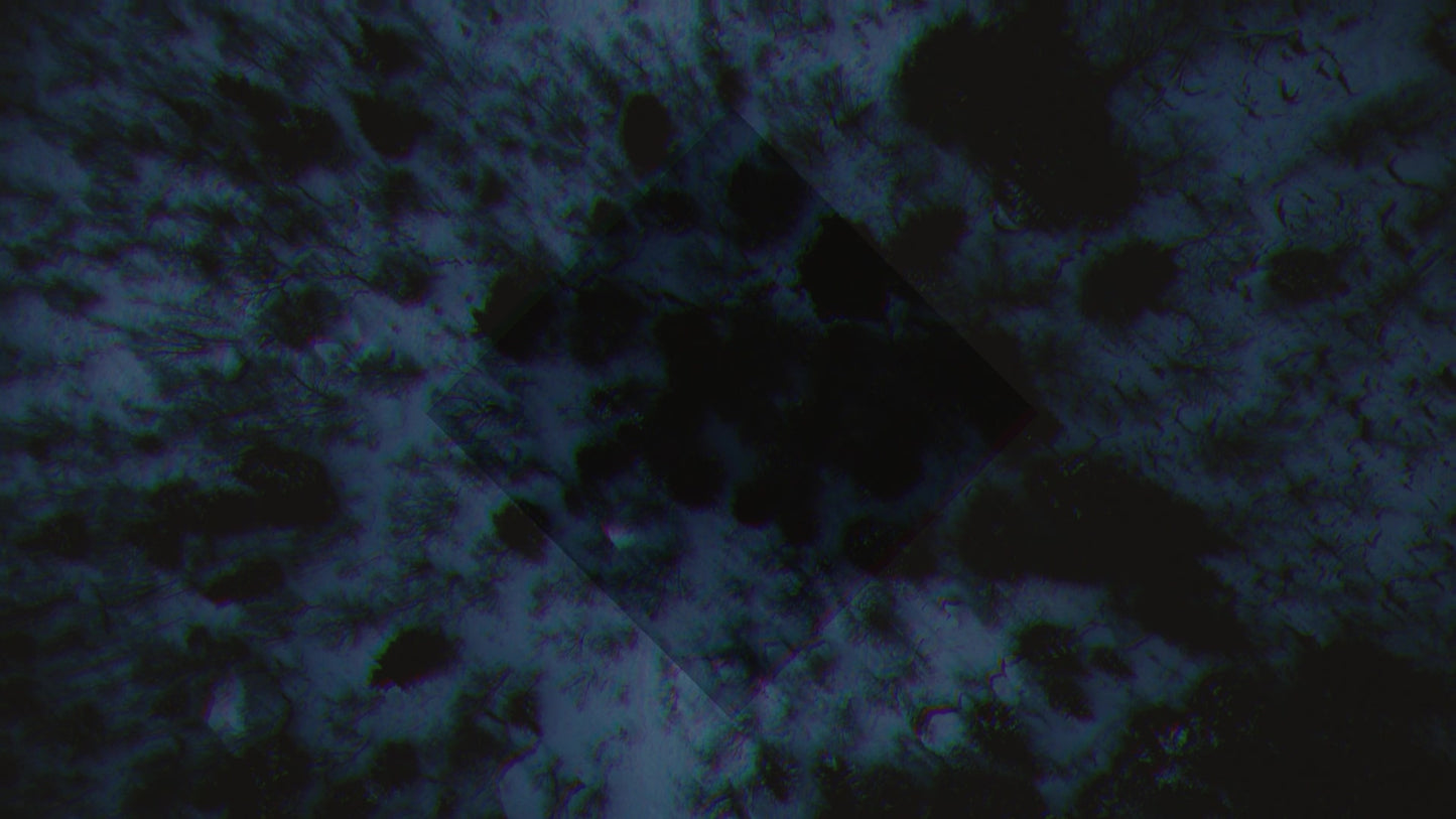 Deep Winter Overhead