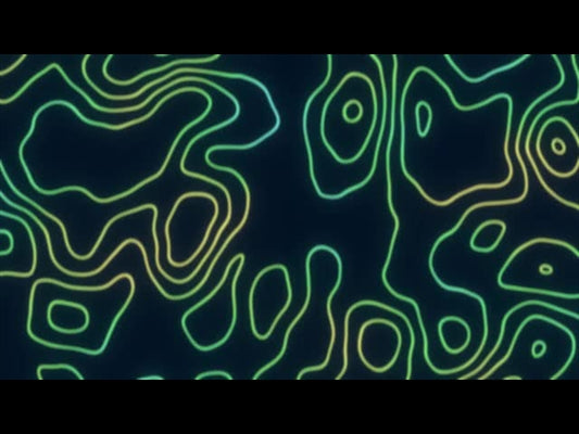 Topo Neon 2