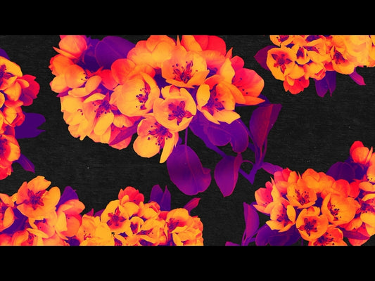 Bold Blooms Loop 05