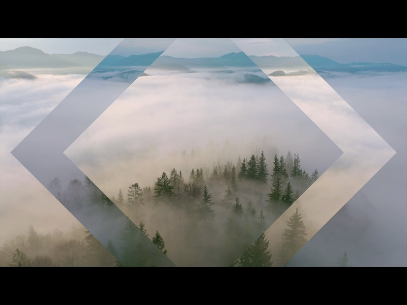 Misty Pines Distant Peaks