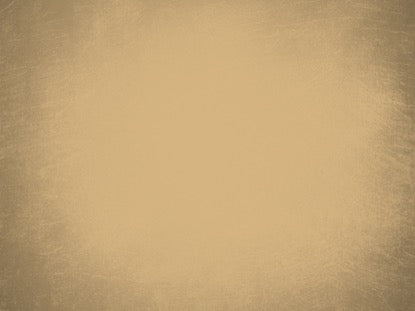 Event Planner Orange Motion