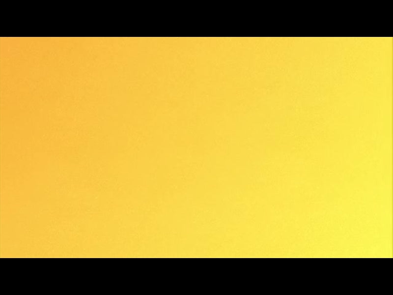 The Mount Yellow Loop