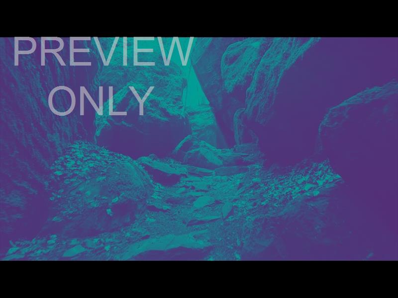Deep Forest Rocky Ravine Teal Purple Still