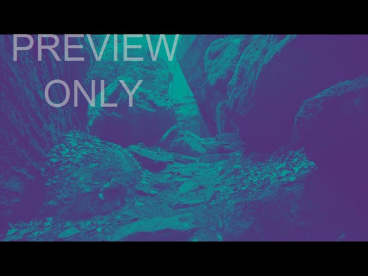 Deep Forest Rocky Ravine Teal Purple Still