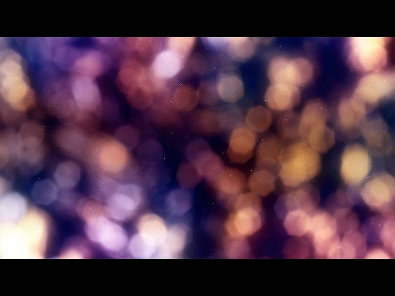 Christmas Light: 13