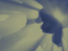 Rays 3