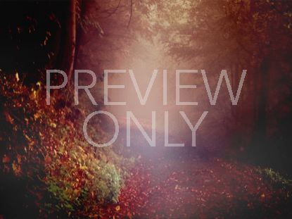 Crisp Morning 3 Still