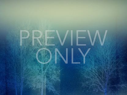 Trees Of Grace 3 Still