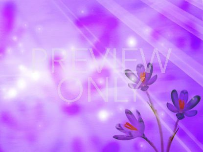 Lavender Mother's Day