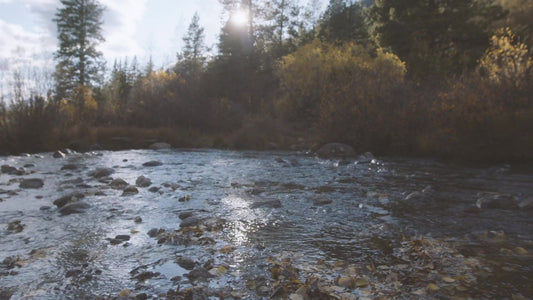 Mountain Hike 11 Still