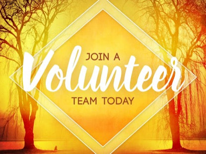 Autumn Forest Volunteer 1 Motion