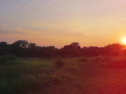 High Fashion Nature 4