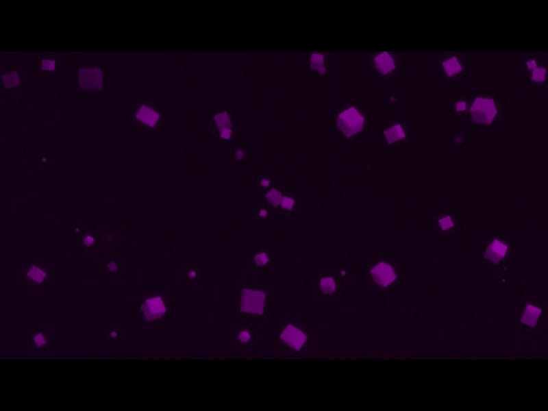 Indescribable Loop 4