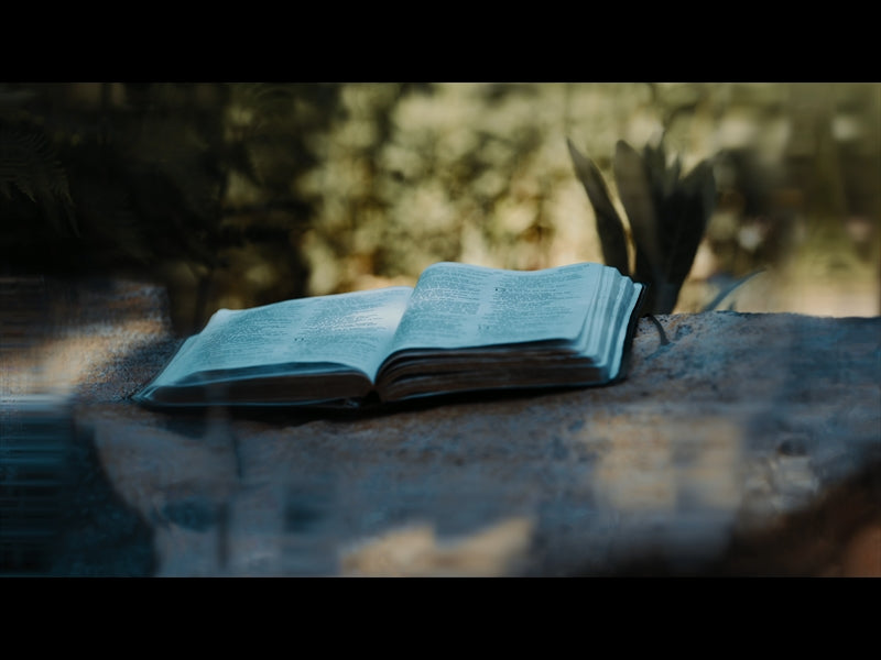 Bible And Crown 6