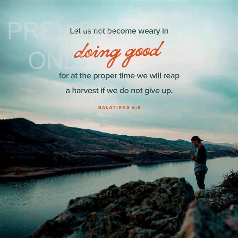 Deep Winter Galatians 6:9
