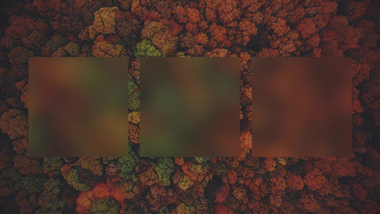 Autumn Colors Above Alt Still