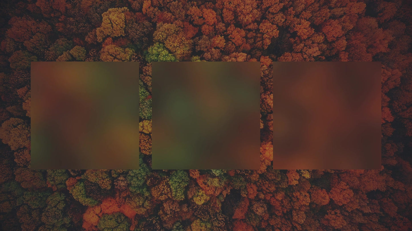 Autumn Colors Above Alt