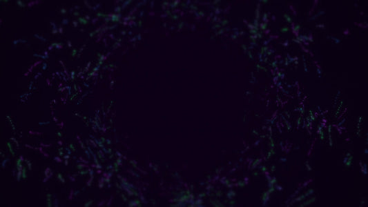 Swarm Cluster