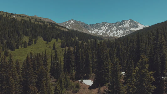 Above Beyond Valley Still