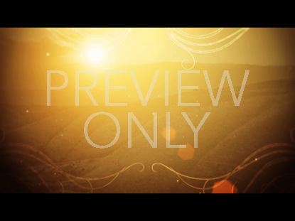 Joyful Morning Still