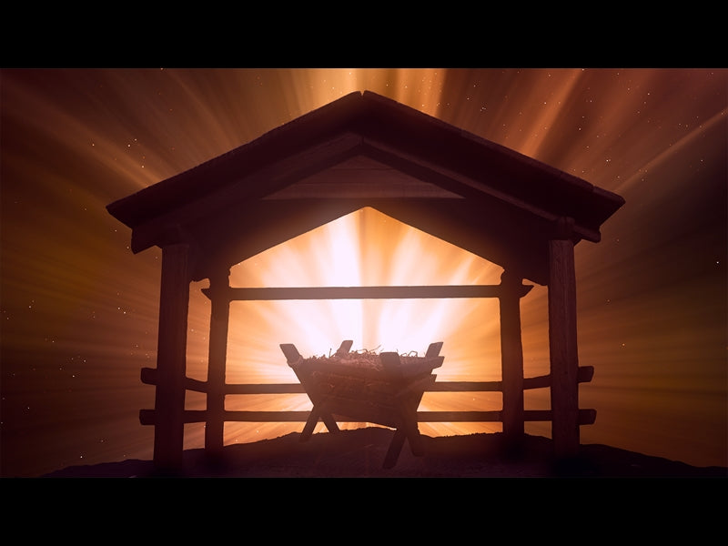 Christmas Manger 3