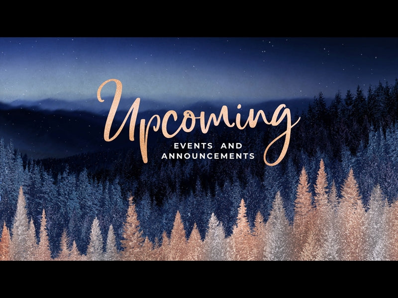 Sparkling Trees Upcoming