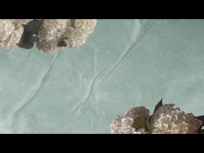 Hydrangea Loop 06