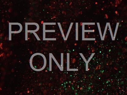 Christmas Glitter Dark Swirl