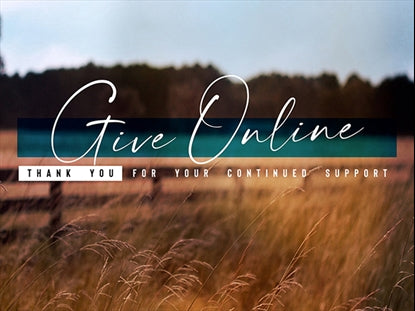 Amber Fields Give Online