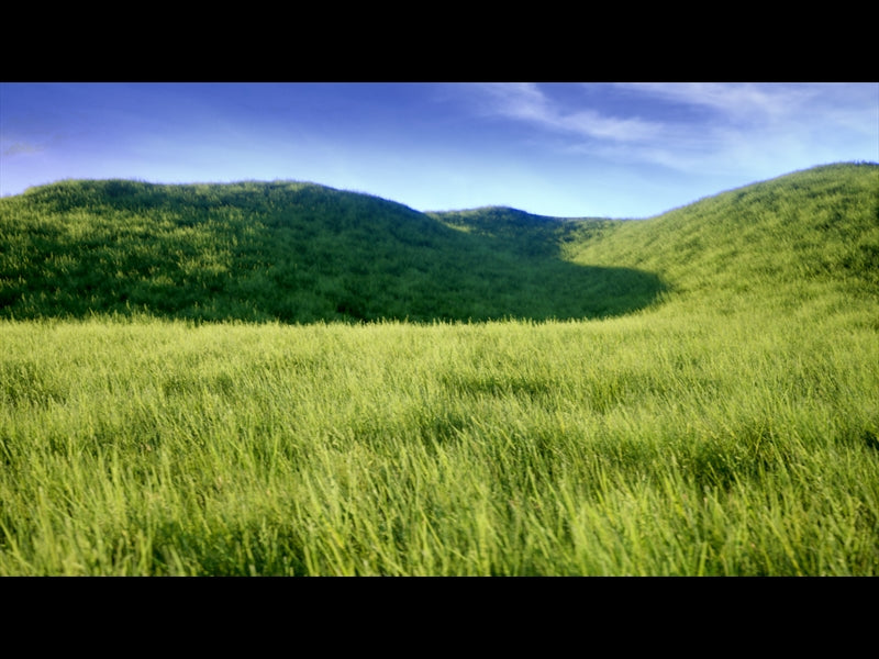 Prairie Rolling Hills