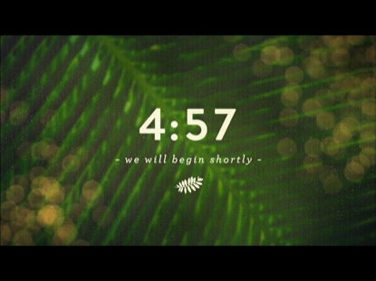 Palm Bokeh Countdown