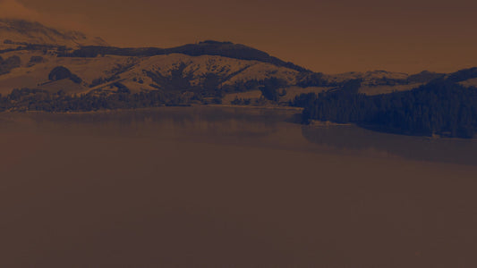 Peaceful Flight 7 Tint Still