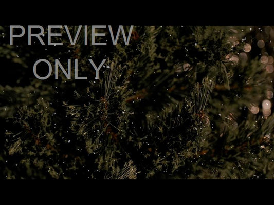 Christmas Tree 10 Still