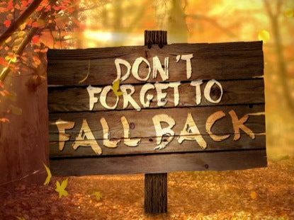 Fall Forest Fall Back
