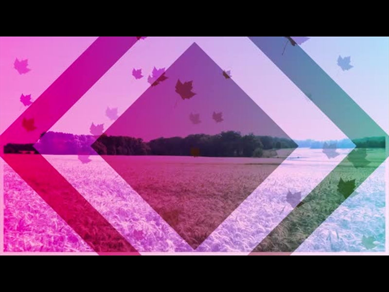 Harvest Motion Background 6