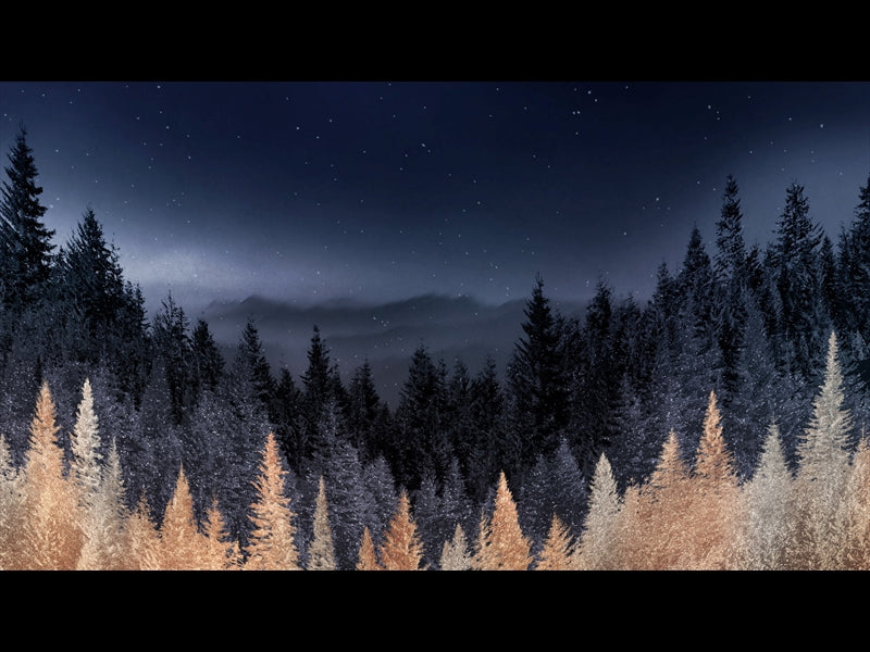 Sparkling Trees 12