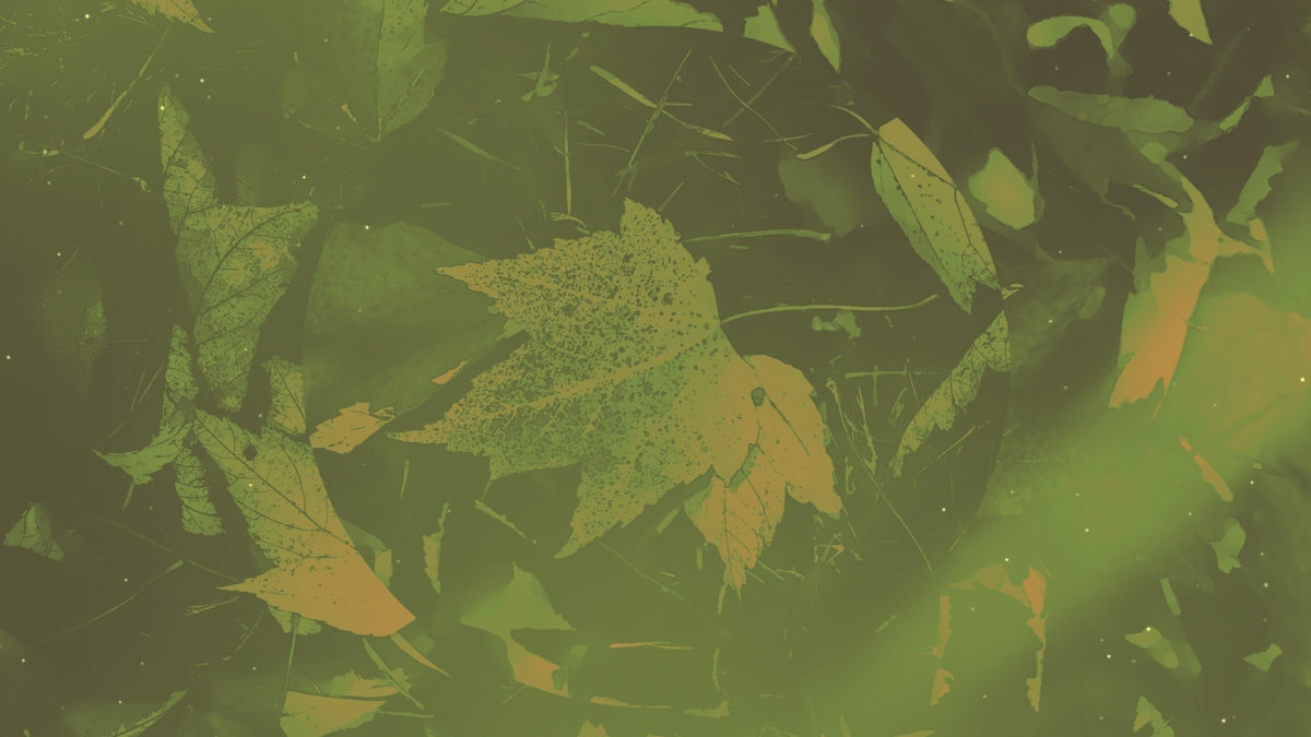 Peaceful Autumn 05