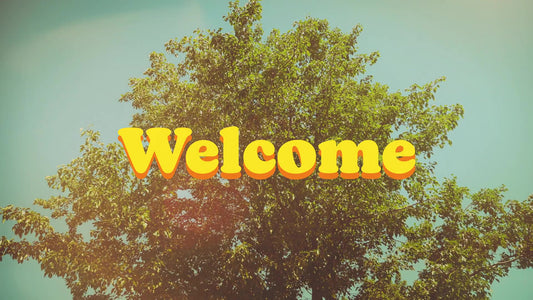 Summer Bright Welcome Still